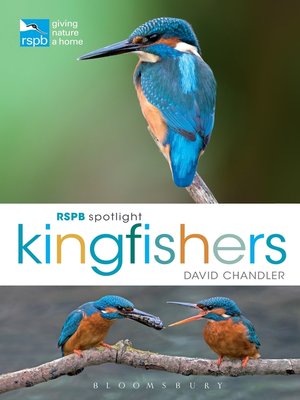 cover image of RSPB Spotlight Kingfishers